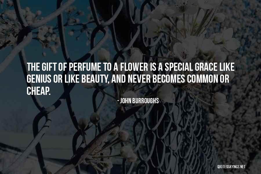 Dk Quotes By John Burroughs Dk Quotes By John Burroughs