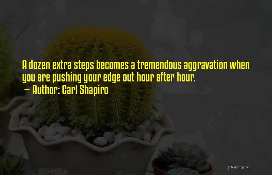 Dkarndtcpa Quotes By Carl Shapiro