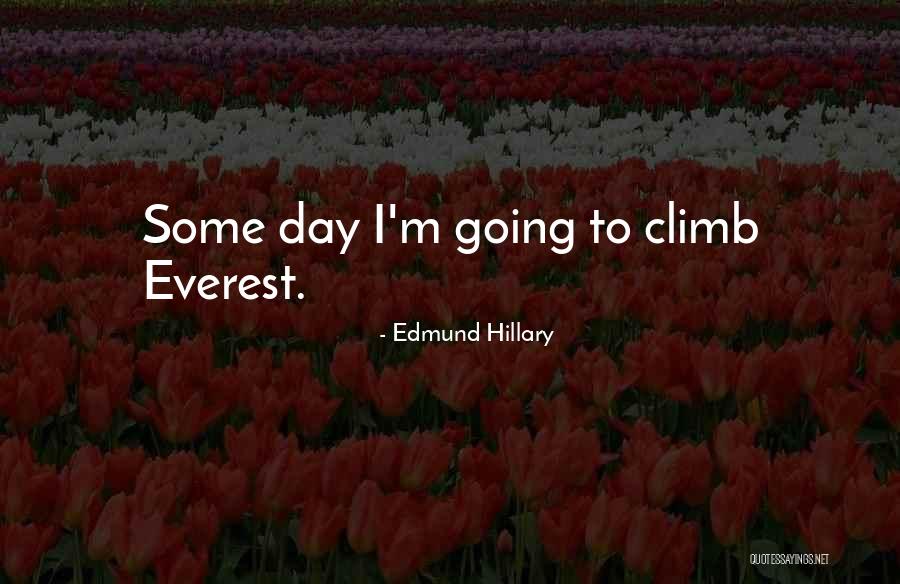 Dlathu Quotes By Edmund Hillary Dlathu Quotes By Edmund Hillary