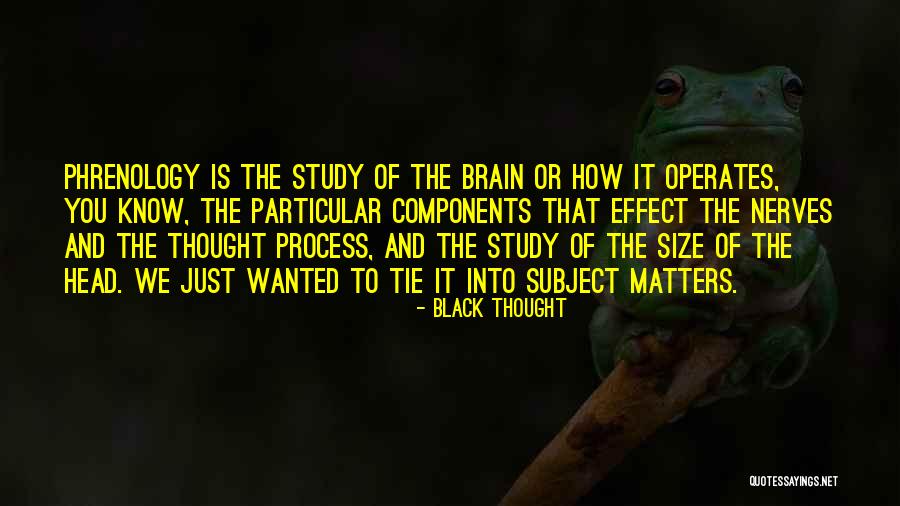 Dlem Mayotte Quotes By Black Thought Dlem Mayotte Quotes By Black Thought