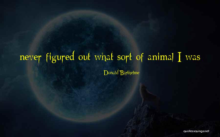 Dlemotion Quotes By Donald Barthelme Dlemotion Quotes By Donald Barthelme
