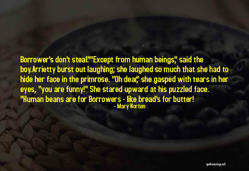 Dlouhodob Quotes By Mary Norton Dlouhodob Quotes By Mary Norton