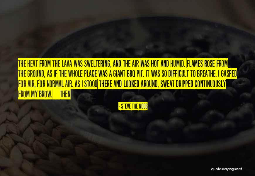 Dmek Recovery Quotes By Steve The Noob Dmek Recovery Quotes By Steve The Noob