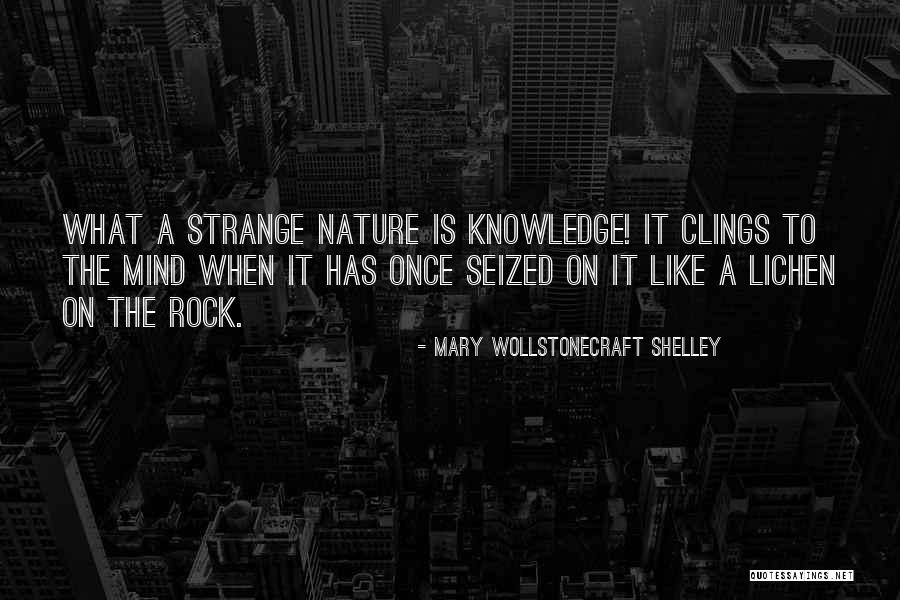 Dmitar Djurovic Quotes By Mary Wollstonecraft Shelley Dmitar Djurovic Quotes By Mary Wollstonecraft Shelley