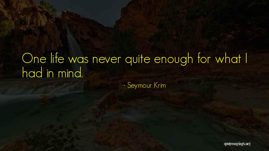 Dmitar Djurovic Quotes By Seymour Krim Dmitar Djurovic Quotes By Seymour Krim