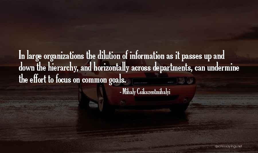 Dmitrijs Kurilo Quotes By Mihaly Csikszentmihalyi Dmitrijs Kurilo Quotes By Mihaly Csikszentmihalyi