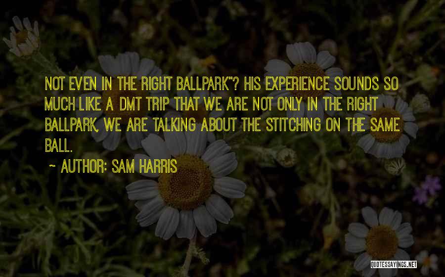 Dmt Experience Quotes By Sam Harris