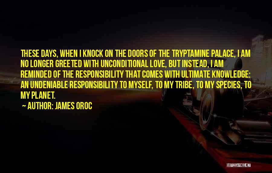 Dmt Quotes By James Oroc