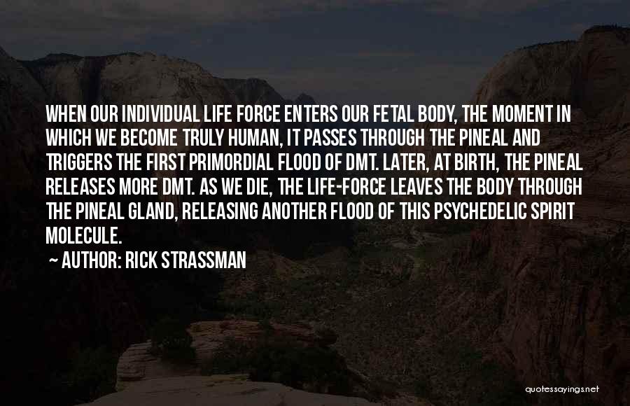 Dmt Quotes By Rick Strassman