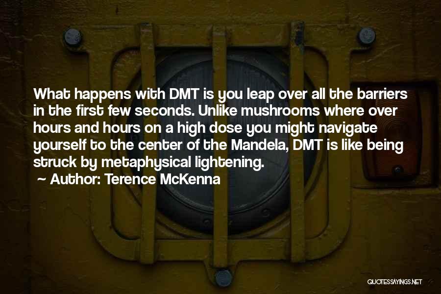 Dmt Quotes By Terence McKenna