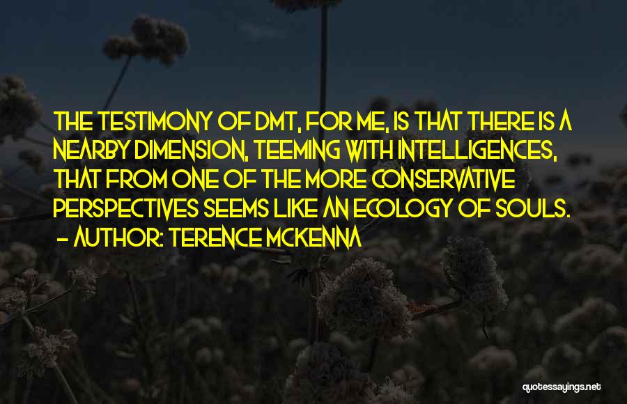 Dmt Quotes By Terence McKenna