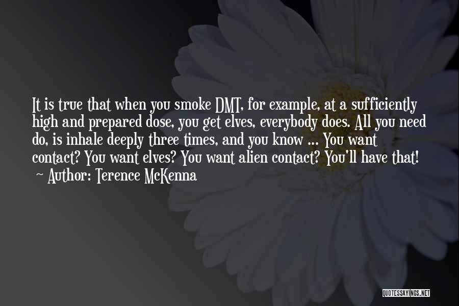 Dmt Quotes By Terence McKenna