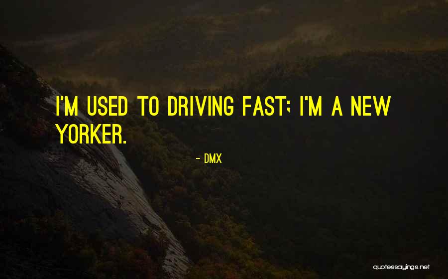 DMX Quotes 733257