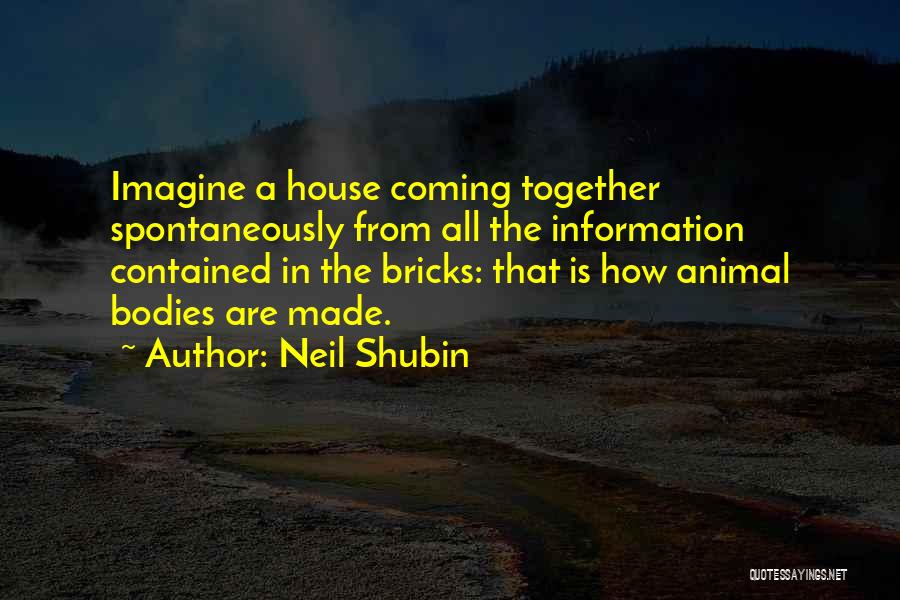 Dna Quotes By Neil Shubin