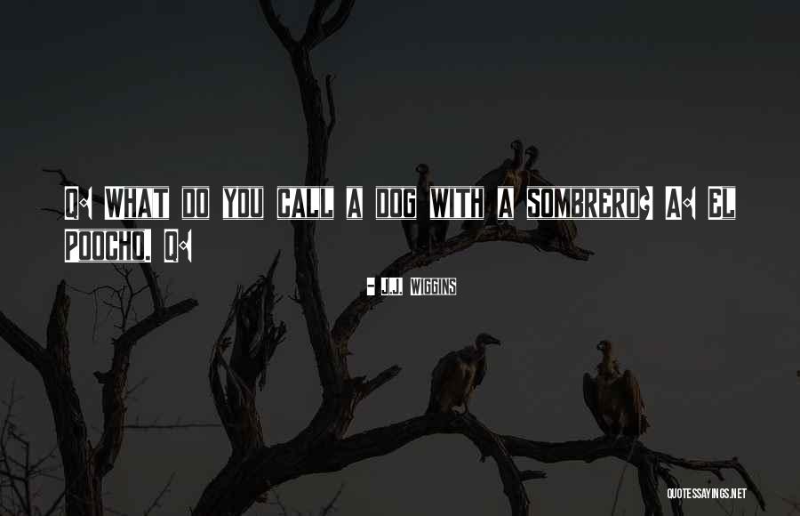 Dnika Quotes By J.J. Wiggins Dnika Quotes By J.J. Wiggins
