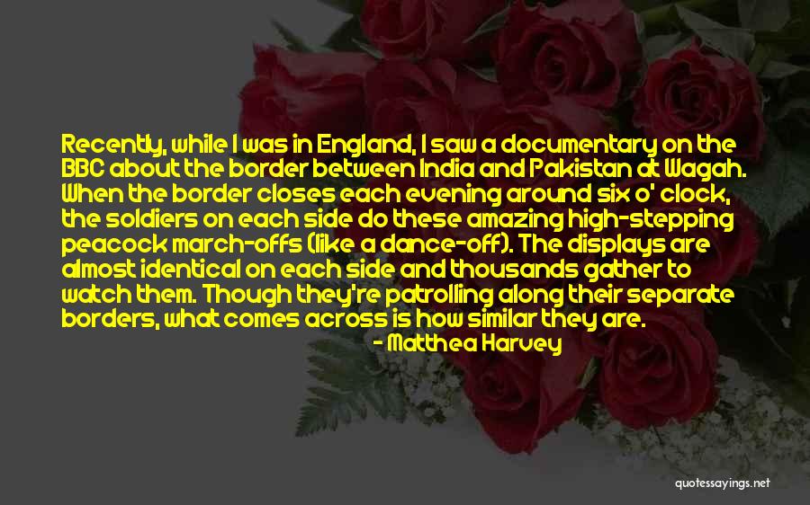 Dnmecca Quotes By Matthea Harvey Dnmecca Quotes By Matthea Harvey