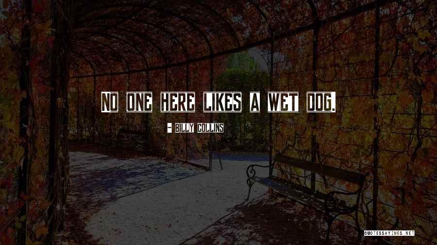 Dnyaneshwar Quotes By Billy Collins Dnyaneshwar Quotes By Billy Collins