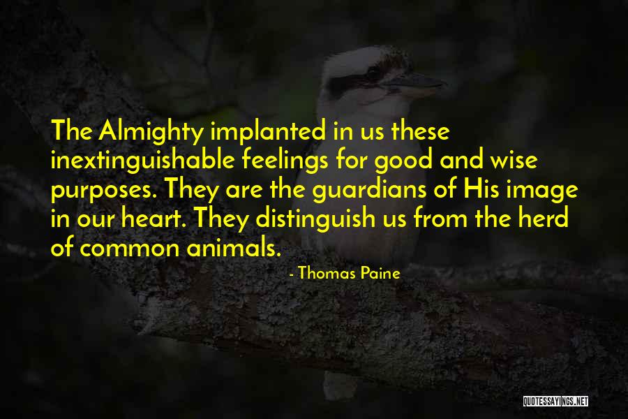 Do Animals Have Feelings Quotes By Thomas Paine Do Animals Have Feelings Quotes By Thomas Paine
