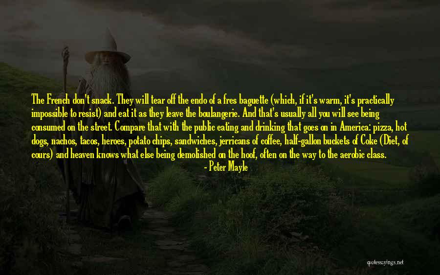Do Dogs Go To Heaven Quotes By Peter Mayle Do Dogs Go To Heaven Quotes By Peter Mayle