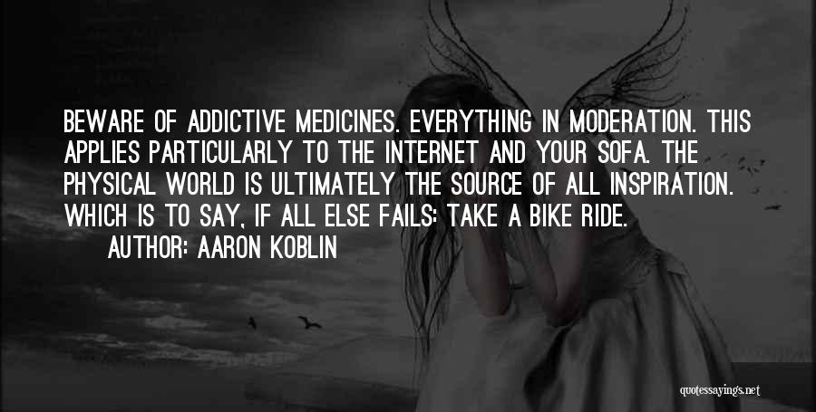 Do Everything In Moderation Quotes By Aaron Koblin