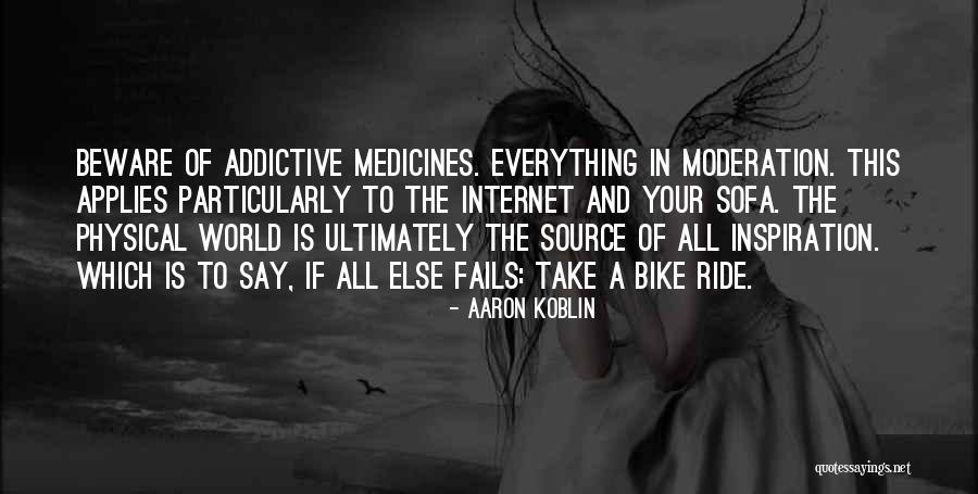 Do Everything In Moderation Quotes By Aaron Koblin