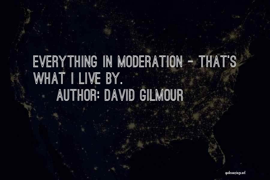 Do Everything In Moderation Quotes By David Gilmour