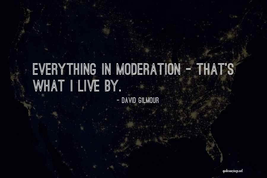 Do Everything In Moderation Quotes By David Gilmour