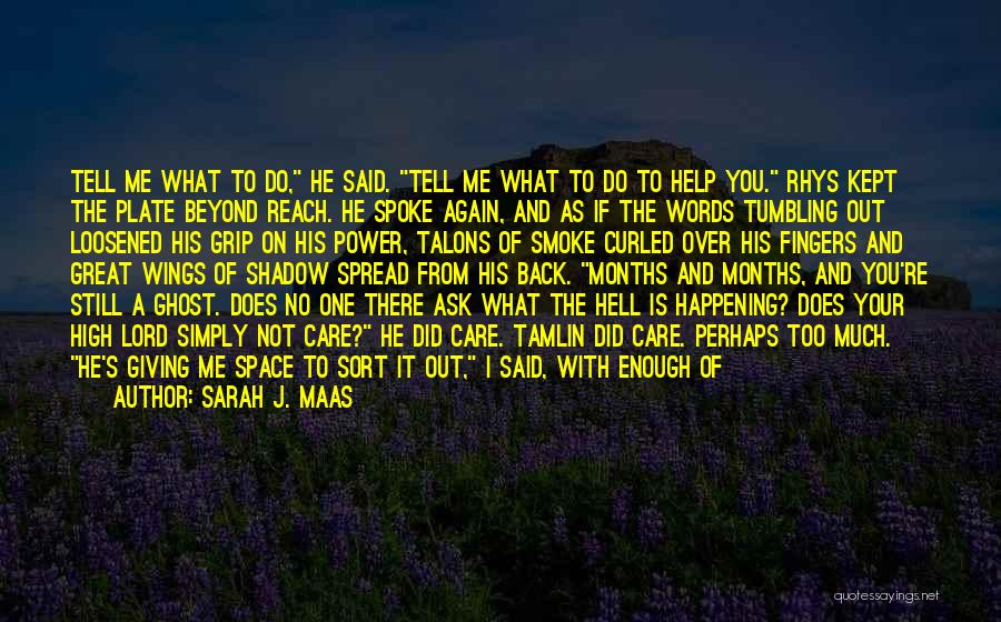 Do I Care Too Much Quotes By Sarah J. Maas