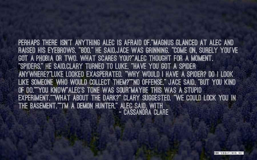 Do I Look Like I'm Stupid Quotes By Cassandra Clare