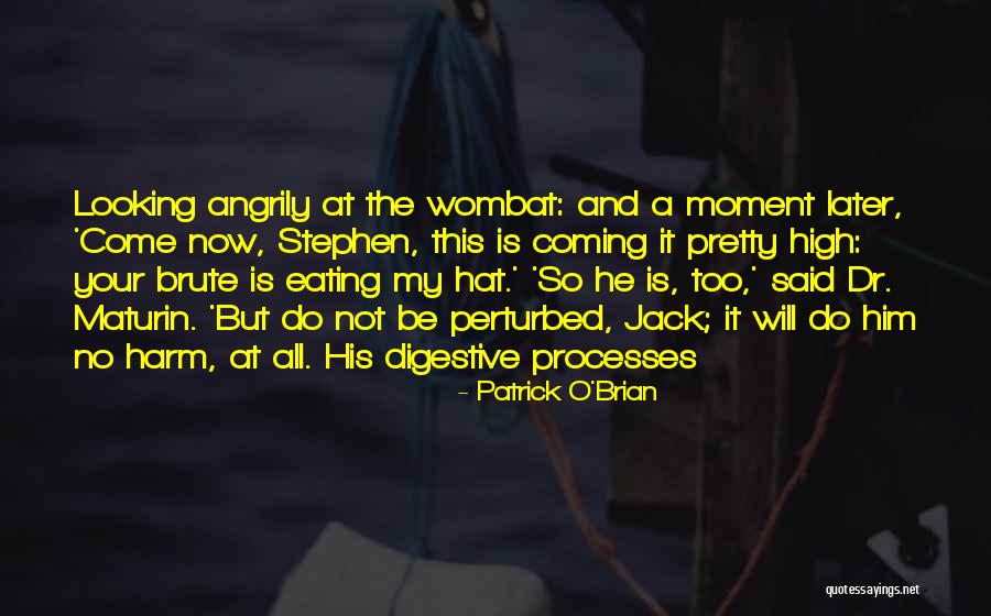 Do It Now Not Later Quotes By Patrick O'Brian Do It Now Not Later Quotes By Patrick O'Brian