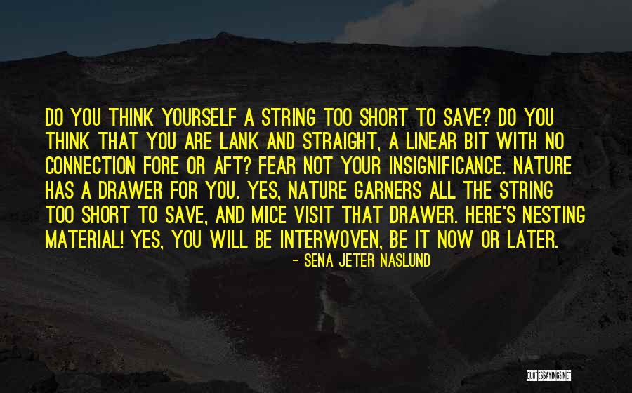 Do It Now Not Later Quotes By Sena Jeter Naslund Do It Now Not Later Quotes By Sena Jeter Naslund