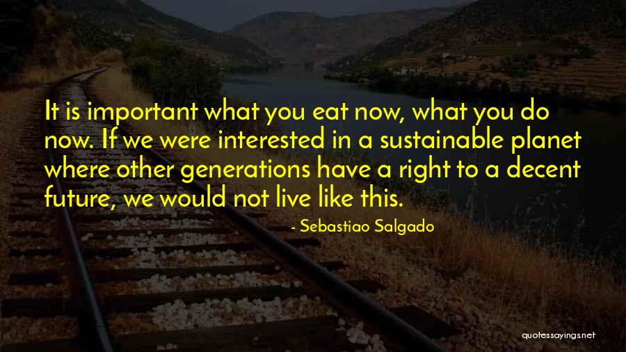 Do It Right Now Quotes By Sebastiao Salgado Do It Right Now Quotes By Sebastiao Salgado