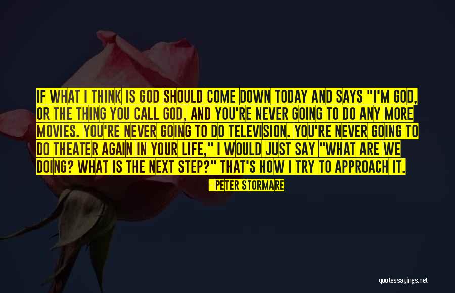 Do It Today Quotes By Peter Stormare