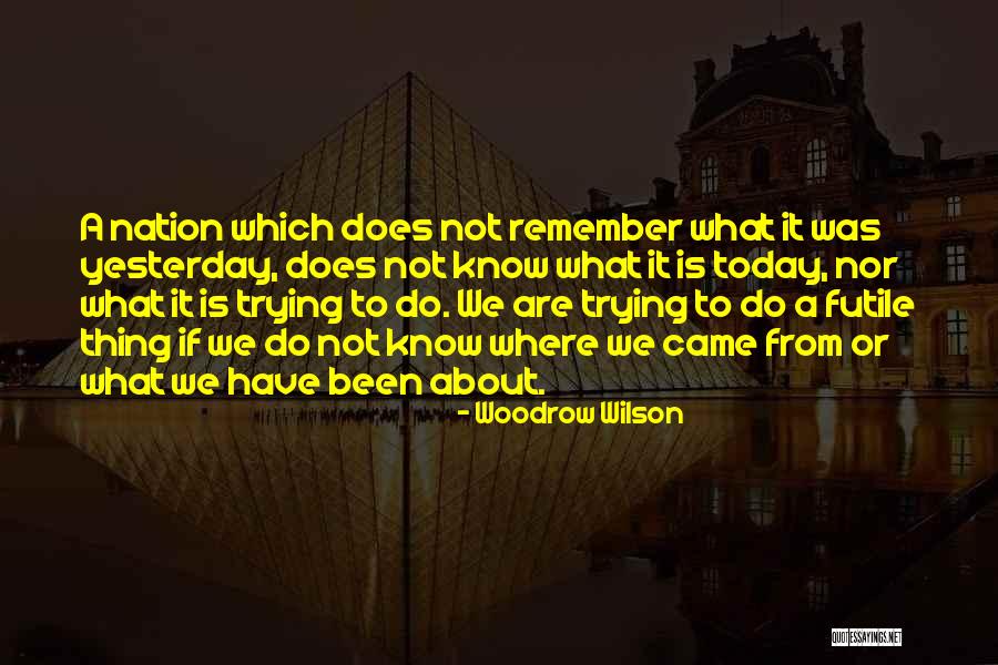 Do It Today Quotes By Woodrow Wilson