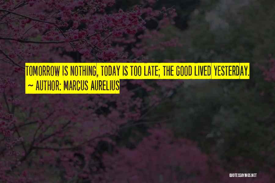 Do It Today Tomorrow Will Be Late Quotes By Marcus Aurelius