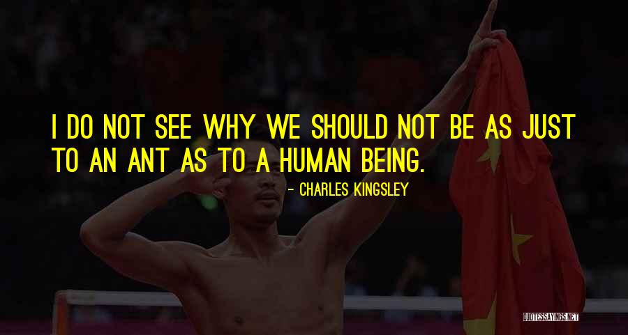 Do Justice Quotes By Charles Kingsley Do Justice Quotes By Charles Kingsley