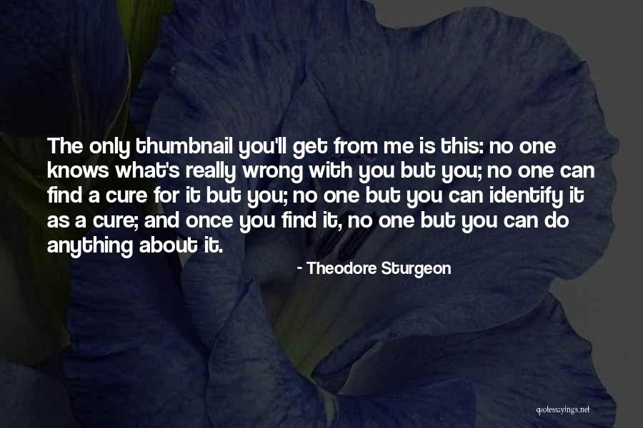 Do Me Wrong Quotes By Theodore Sturgeon