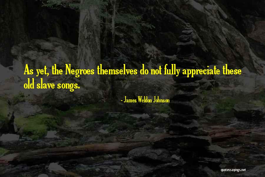 Do Not Appreciate Quotes By James Weldon Johnson Do Not Appreciate Quotes By James Weldon Johnson