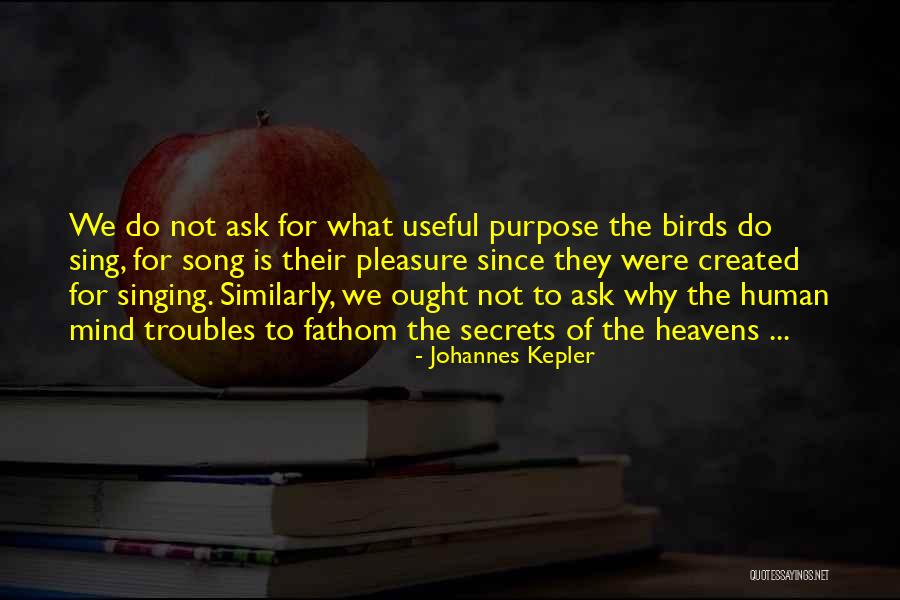 Do Not Ask Quotes By Johannes Kepler