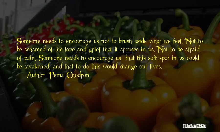 Do Not Be Afraid Of Change Quotes By Pema Chodron