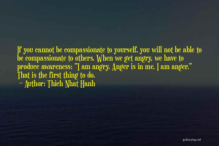 Do Not Be Angry Quotes By Thich Nhat Hanh