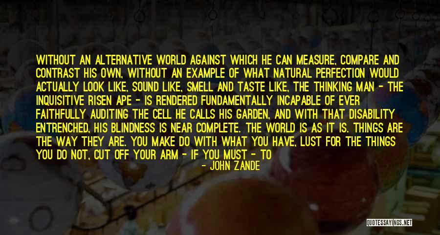 Do Not Compare Quotes By John Zande Do Not Compare Quotes By John Zande