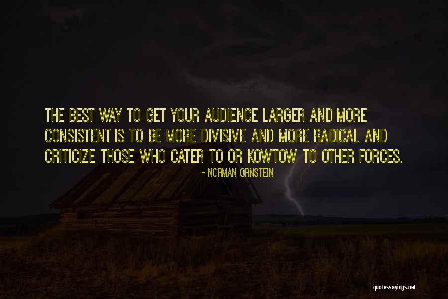 Do Not Criticize Others Quotes By Norman Ornstein Do Not Criticize Others Quotes By Norman Ornstein