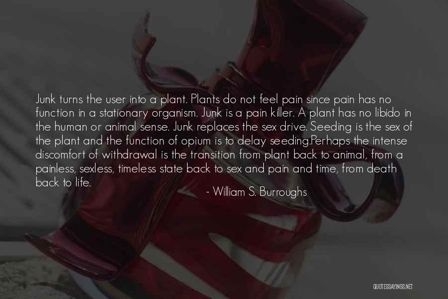 Do Not Delay Quotes By William S. Burroughs Do Not Delay Quotes By William S. Burroughs