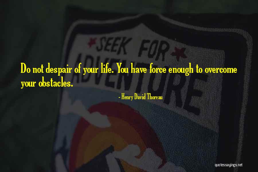 Do Not Despair Quotes By Henry David Thoreau Do Not Despair Quotes By Henry David Thoreau