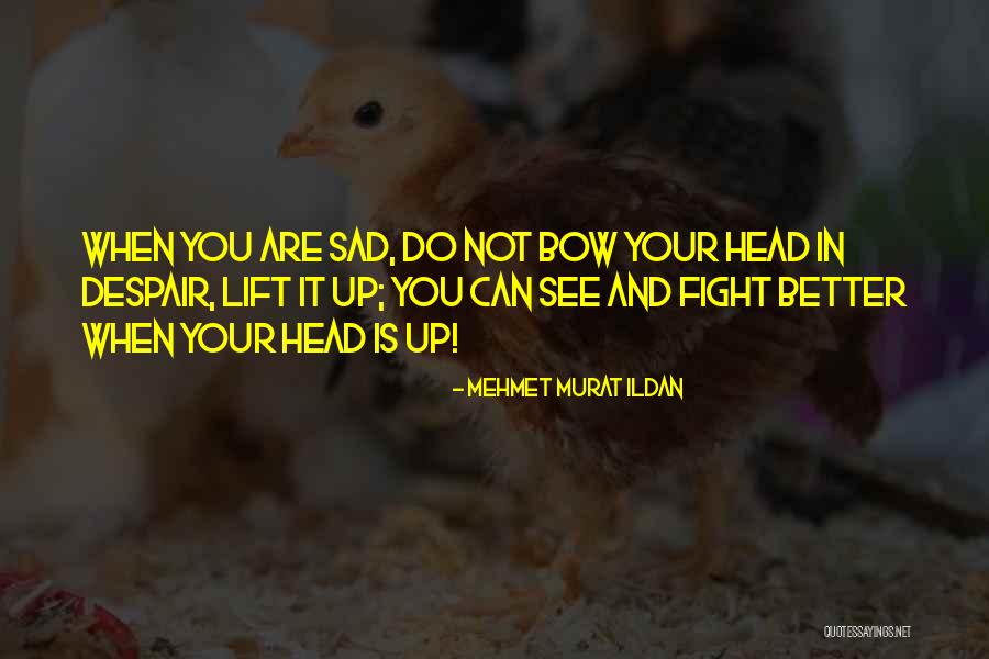 Do Not Despair Quotes By Mehmet Murat Ildan Do Not Despair Quotes By Mehmet Murat Ildan