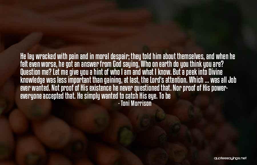 Do Not Despair Quotes By Toni Morrison Do Not Despair Quotes By Toni Morrison