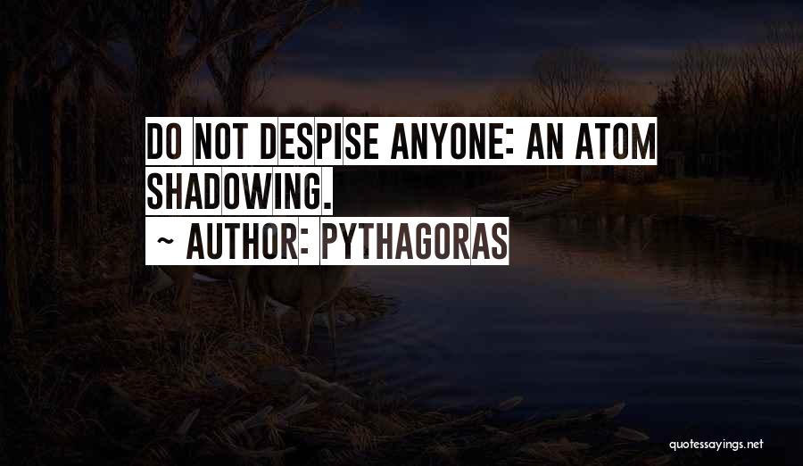 Do Not Despise Quotes By Pythagoras