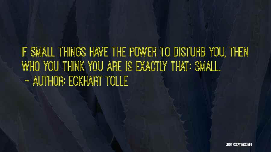 Do Not Disturb Me Quotes By Eckhart Tolle