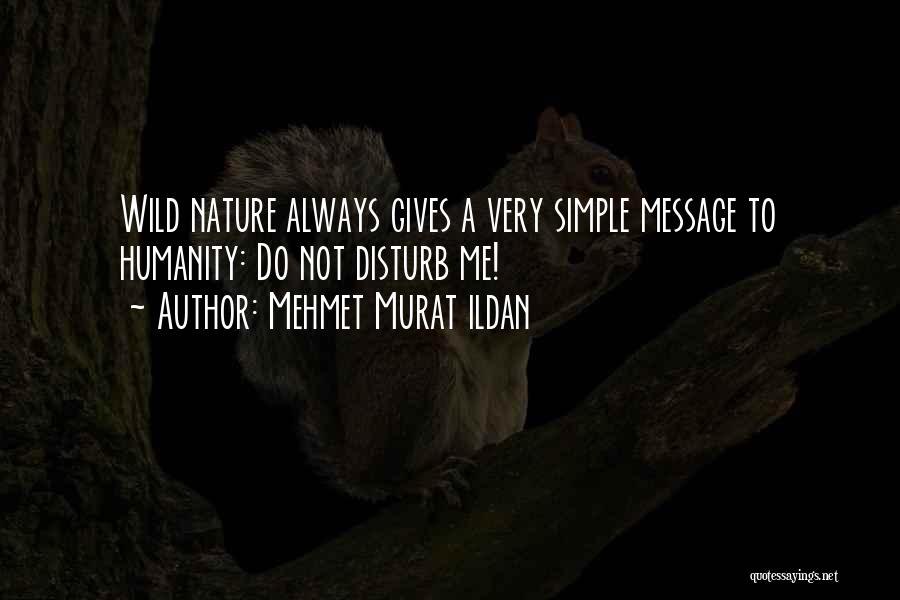 Do Not Disturb Me Quotes By Mehmet Murat Ildan